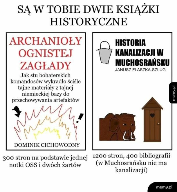 Dwa rodzaje książek historycznych