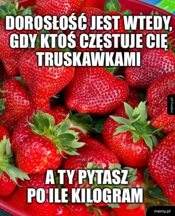 Dorosłość