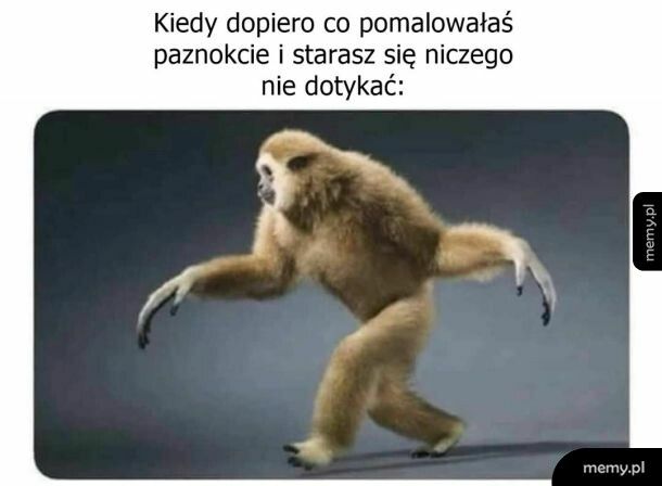 Paznokcie