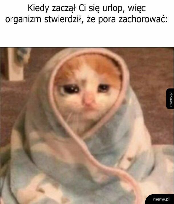 Idealny tajming