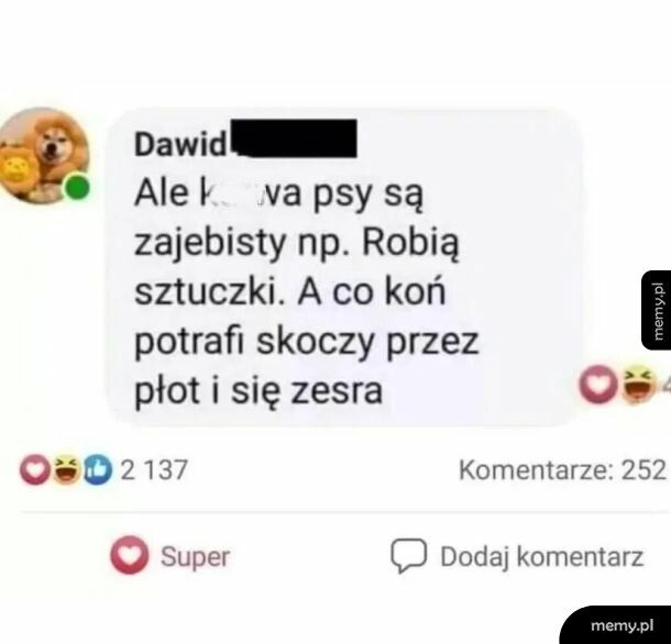 Psy najlepsze
