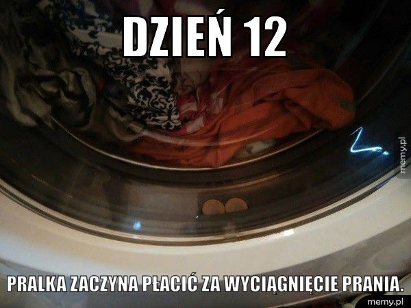 Dzień 12 pralka zaczyna płacić za wyciągnięcie prania.