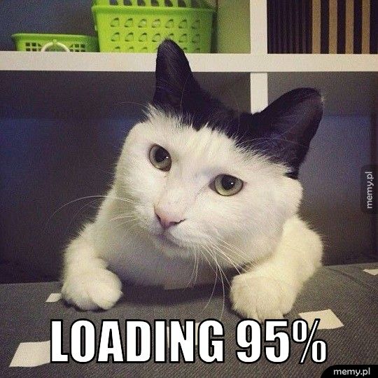 Loading 95%