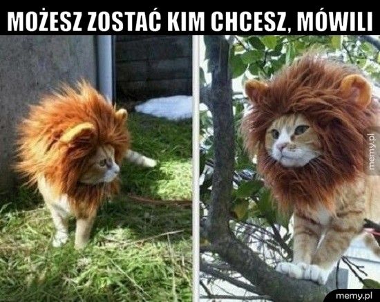 Możesz zostać kim chcesz, mówili  