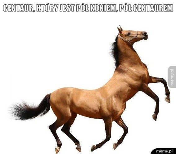 Centaur, który jest pół koniem, pół centaurem  