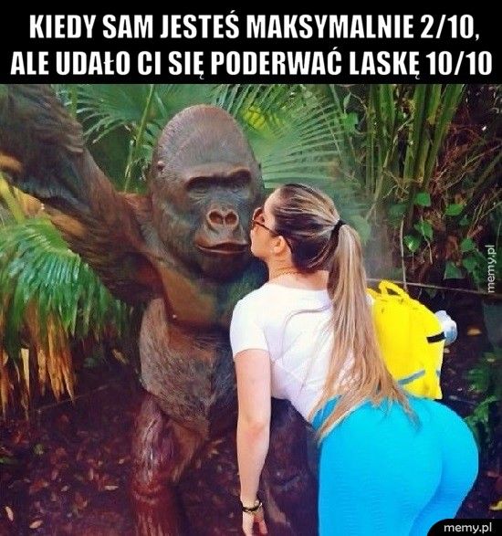          Kiedy sam jesteś maksymalnie 2/10,          ale udało c  