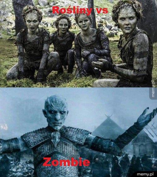 Rośliny vs zombie