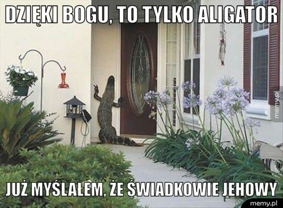 Dzięki bogu