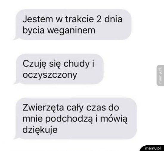 Oczyszczenie