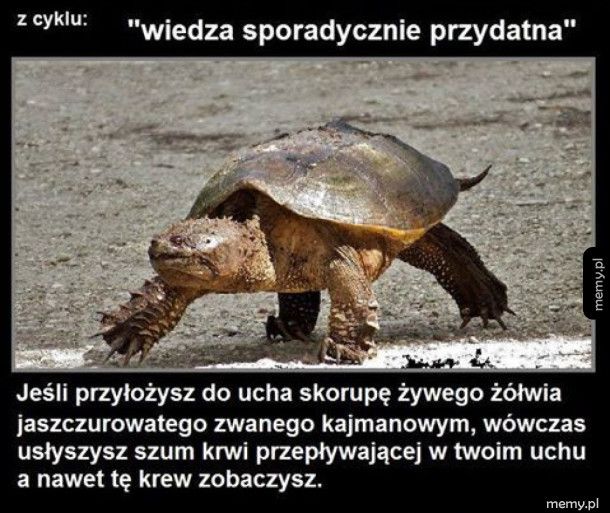 Ciekawostka na dziś