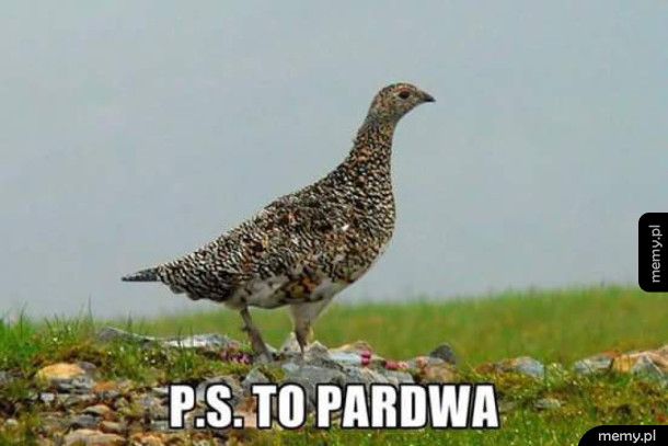 Pardwa
