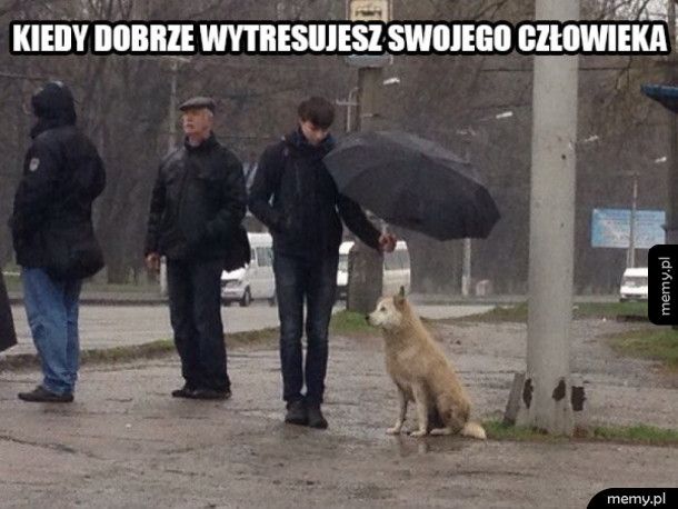 Dobrze człowiek