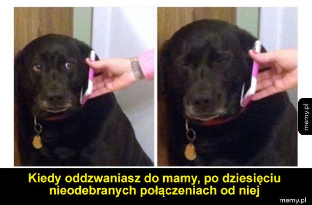 Troszkę ochrzan