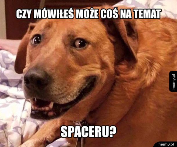 Nie przesłyszałem się