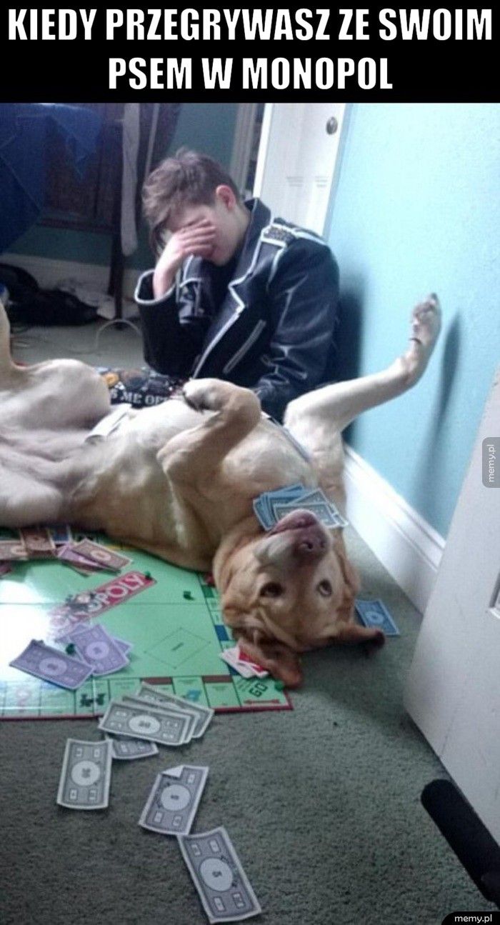 Kiedy przegrywasz ze swoim psem w Monopol  
