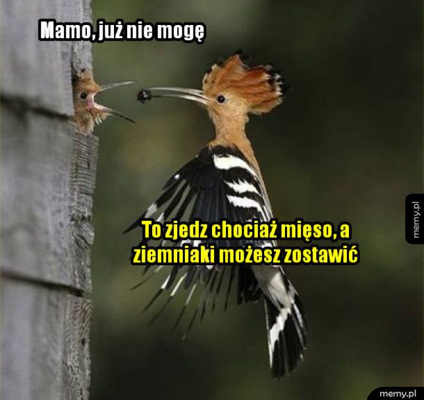 Mamy takie są