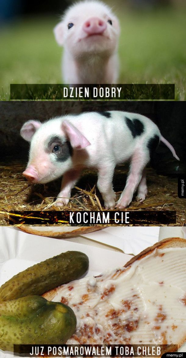 Dzień dobry!