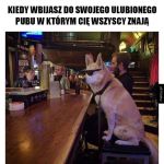 Wyjście do ulubionego pubu