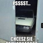 Polonez