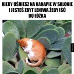 Spanie w niewygodnej pozycji