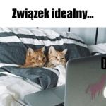 Związek idealny...