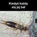 Przerażający potwór