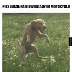 Niewidzialny motocykl