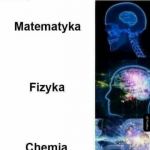 R&oacute;żnice w wielkości m&oacute;zgu