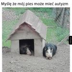 Autyzm
