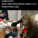 Koteły takie są