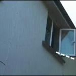 Facet zbudował most dla kota