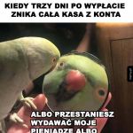 Gdzie są piniądze?