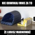 Tak po prawdzie to jest racja