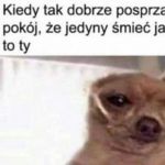 Czas zamieszkać w kontenerze