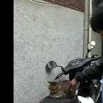 Czy mógłbyś zejść?