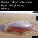 Meduza to meduza. Na Hydrę drążyć temat?