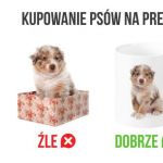 Jak kupić pieska pod choinkę?