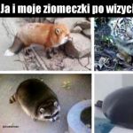 C H O N K S