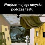 Testy takie są