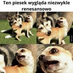 Renesansowy piesek