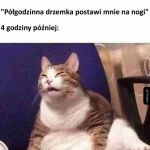 P&oacute;łgodzinna drzemka