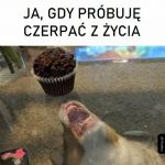 Życie tyle ci oferuje, bierz !