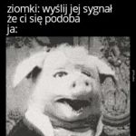 Sygnały na miarę możliwości.