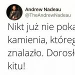 Mogę zaprezentować m&oacute;j kamień nerkowy