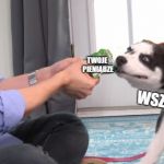 Życie
