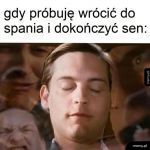 Dokończyć sen