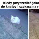 Czekanie