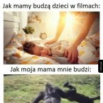 Życie to nie film