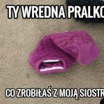 Lepiej nie podchodzić