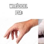 Od razu widać, kto ma kota